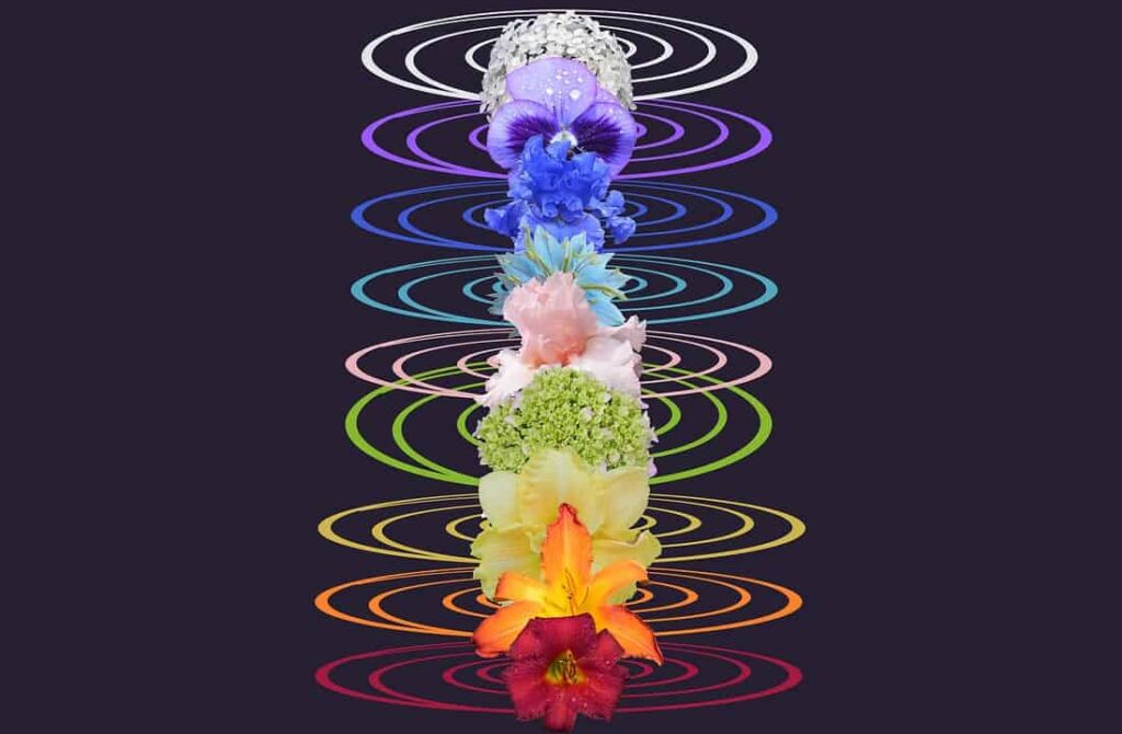 Chakras expressed as flowers