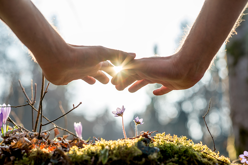 emergence hands blooms sun